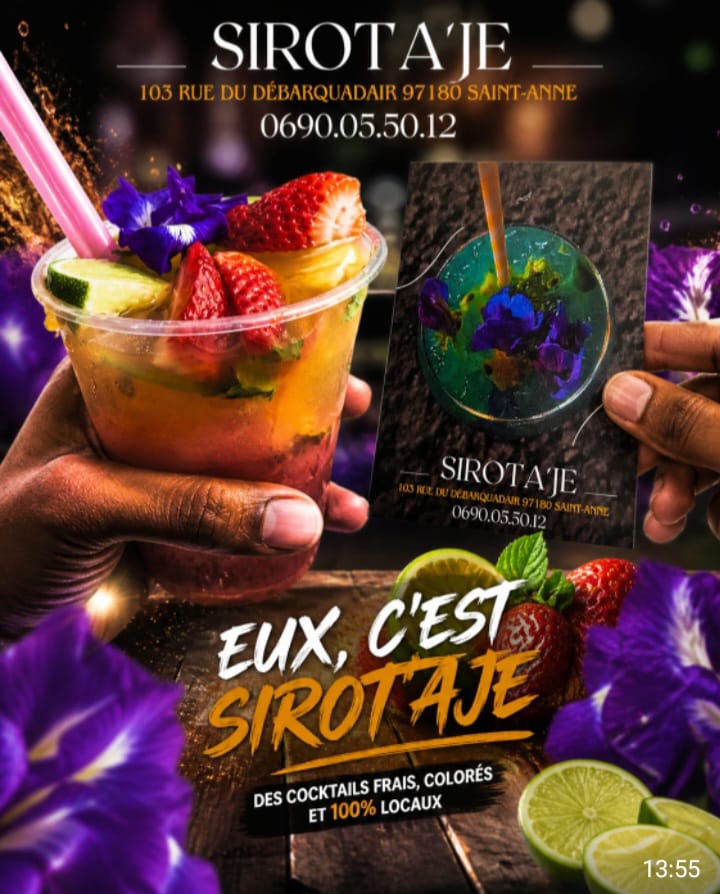 Logo Syrotage